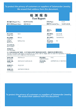 TITANIUM TZ2025 49881 (2025-02-24)