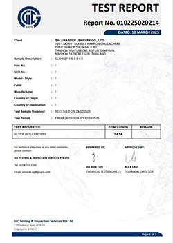 SILVER SLCH027 0.6 3.0 4.0 (2025-03-12)