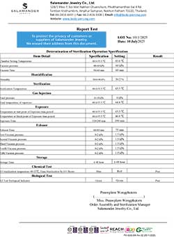 STERILIZE LOT 1011 (2025-07-10)