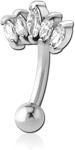 Surgical Steel Grade 316L Jeweled Fancy Curved Micro Barbell