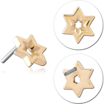 14 KARAT GOLD YELLOW ATTACHMENT TITANIUM THREADLESS PIN