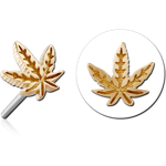 14 KARAT GOLD YELLOW ATTACHMENT TITANIUM THREADLESS PIN
