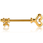 GOLD PVD COATED SURGICAL STEEL GRADE 316L NIPPLE SHIELD - KEY