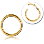 Sterile Gold PVD Coated Surgical Steel Grade 316L Hinged Segment Ring
