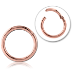 Sterile Rose Gold PVD Coated Surgical Steel Grade 316L Hinged Segment Ring