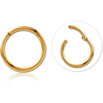 Sterile Gold PVD Coated Titanium Alloy Hinged Segment Ring