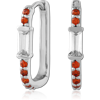 GARNET