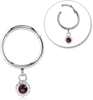 Surgical Steel Grade 316L Round Jeweled Hinged Segment Ring AMETHYST