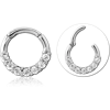 Surgical Steel Grade 316L Jeweled Hinged Septum Ring CRYSTAL