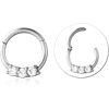 Surgical Steel Grade 316L Round Jeweled Hinged Segment Ring CRYSTAL
