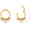 316L Gold PVD Coated Surgical Steel Grade 316L Hinged Segment Ring Graduated Round and Pear Gems CRYSTAL