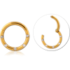 Gold PVD Coated Surgical Steel Grade 316L Jeweled Hinged Segment Ring CRYSTAL