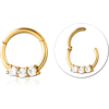 Gold PVD Coated Surgical Steel Grade 316L Round Jeweled Hinged Segment Ring CRYSTAL