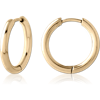 Zircon Gold PVD Coated Titanium Alloy Hoop Earring Per Piece 