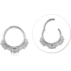 Surgical Steel Grade 316L Hinged Segment Ring 