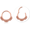 Rose Gold PVD Coated Surgical Steel Grade 316L Hinged Segment Ring 