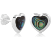 ABALONE
