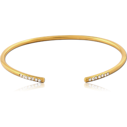 GOLD PVD COATED SURGICAL STEEL GRADE 316L BANGLE