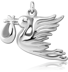 RHODIUM PLATED BASE METAL STORK DELIVERY CHARM