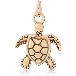 GOLD PVD 18K COATED SURGICAL STEEL GRADE 316L CHARM