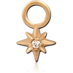 GOLD PVD 18K COATED SURGICAL STEEL GRADE 316L JEWELED CHARM