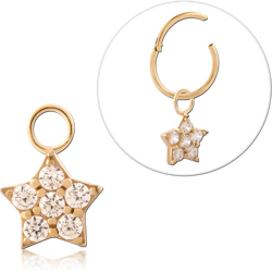 GOLD PVD 18K COATED SURGICAL STEEL GRADE 316L JEWELED CHARM