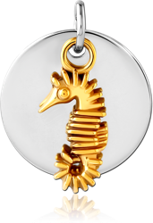 SURGICAL STEEL GRADE 316L CHARM