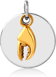 SURGICAL STEEL GRADE 316L CHARM