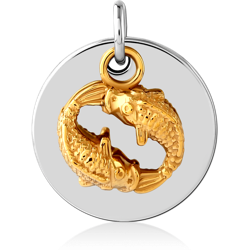 SURGICAL STEEL GRADE 316L CHARM