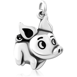 SURGICAL STEEL GRADE 316L CHARM