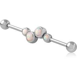 SURGICAL STEEL GRADE 316L ATTACHMENT FOR INDUSTRIAL BARBELL