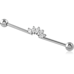 TITANIUM ALLOY INTERNALLY THREADED INDUSTRIAL BARBELL