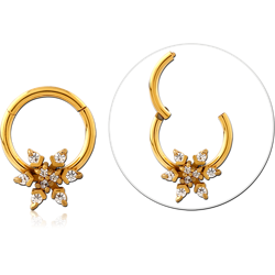 Gold PVD Coated Surgical Steel Grade 316L Round Jeweled Hinged Segment Ring - Owflake