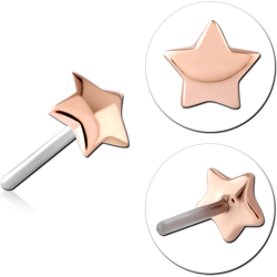 14 KARAT ROSE GOLD ATTACHMENT TITANIUM THREADLESS PIN