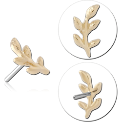 14K YELLOW GOLD TOP WITH TITANIUM ALLOY THREADLESS PIN LEAF BRANCH RIGHT