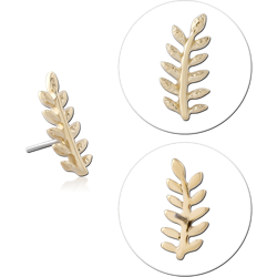 14K YELLOW GOLD TOP WITH TITANIUM ALLOY THREADLESS PIN LAUREL LEAF BRANCH LEFT