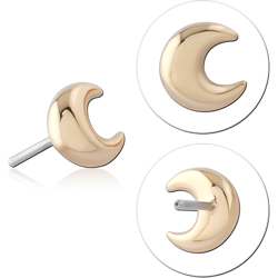 14 KARAT GOLD YELLOW ATTACHMENT TITANIUM THREADLESS PIN