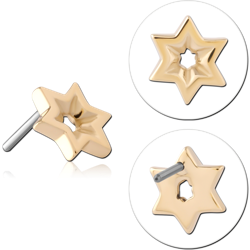 14 KARAT GOLD YELLOW ATTACHMENT TITANIUM THREADLESS PIN