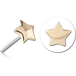 14 KARAT GOLD YELLOW ATTACHMENT TITANIUM THREADLESS PIN