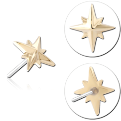 14K YELLOW GOLD TOP WITH TITANIUM ALLOY THREADLESS PIN EIGHT POINT STAR