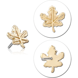 14K YELLOW GOLD MAPLE LEAF TOP WITH TITANIUM ALLOY THREADLESS PIN