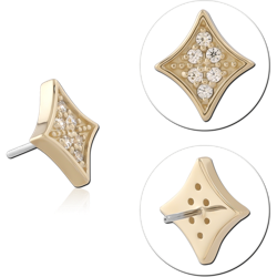 14K YELLOW GOLD SOLID ATTACHMENT TITANIUM ALLOY THREADLESS PIN