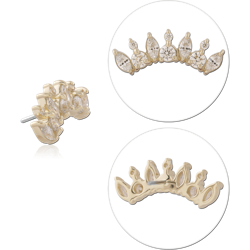14K YELLOW GOLD TOP WITH TITANIUM ALLOY THREADLESS PIN TIARA GEM FAN