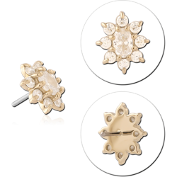 14K YELLOW GOLD TOP WITH TITANIUM ALLOY THREADLESS PIN FLORAL GEM CLUSTER