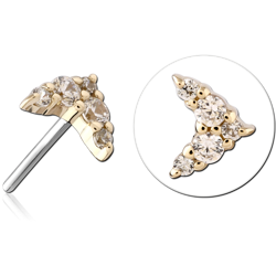 14 KARAT GOLD YELLOW JEWELED ATTACHMENT TITANIUM THREADLESS PIN