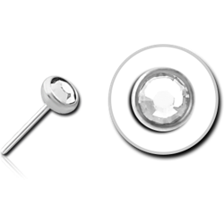 STERILE SURGICAL STEEL GRADE 316L JEWELED THREADLESS DISC