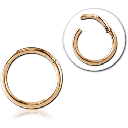 GOLD PVD 18K COATED SURGICAL STEEL GRADE 316L HINGED SEGMENT RING