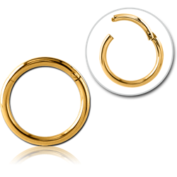 GOLD PVD COATED SURGICAL STEEL GRADE 316L HINGED SEGMENT RING