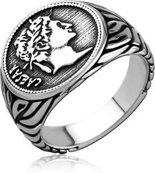 SURGICAL STEEL GRADE 316L RING