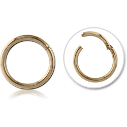 18 Karat Gold Yellow Hinged Segment Ring